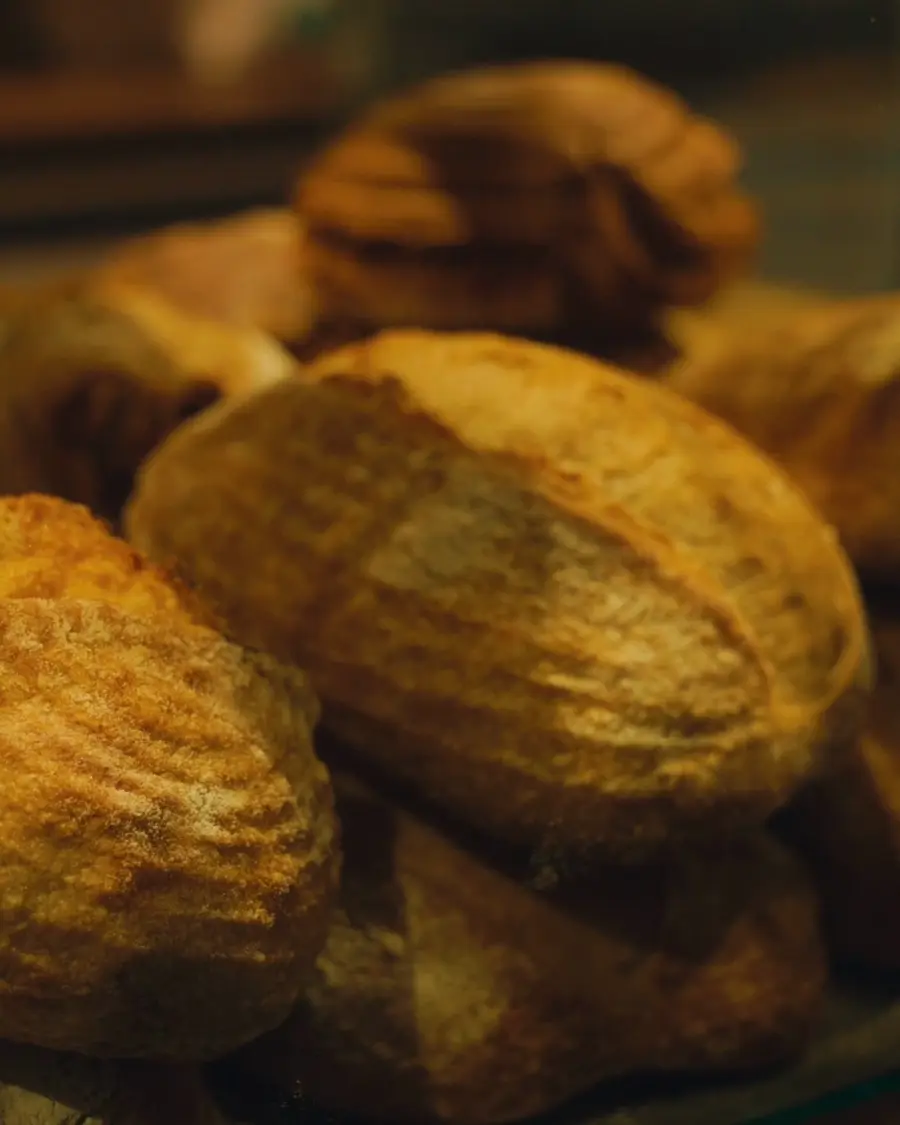 Pan de masa madre